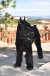 Max at Bryce Canyon Oct 03, 2009
