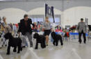 Dallas Dec 6 Breed Ring