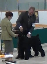 Max at Kenora