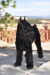 Max at Bryce Canyon (Oct 09)