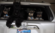 Ready for roadtrip